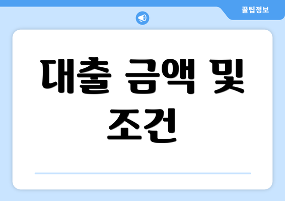 대출 금액 및 조건
