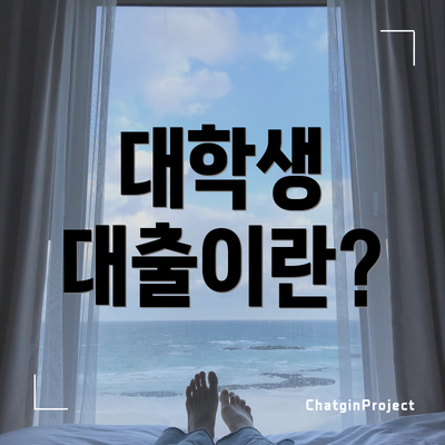 대학생 대출이란?