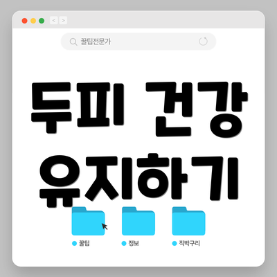 두피 건강 유지하기