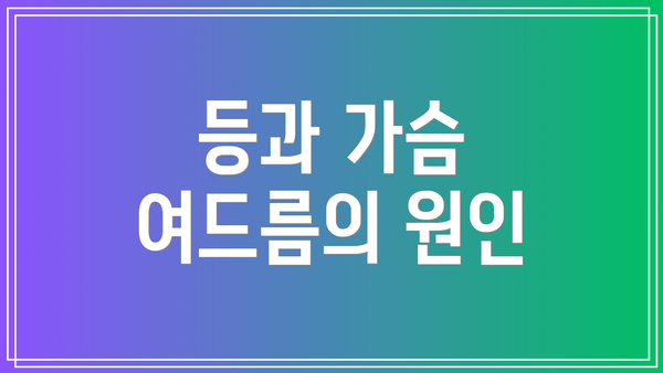 등과 가슴 여드름의 원인
