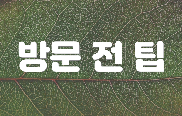 방문 전 팁