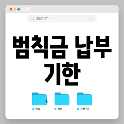 범칙금 납부 기한