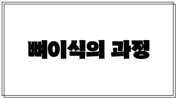 뼈이식의 과정