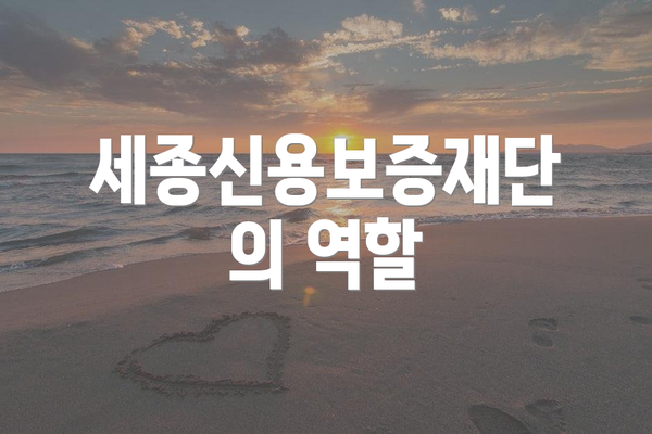 세종신용보증재단의 역할