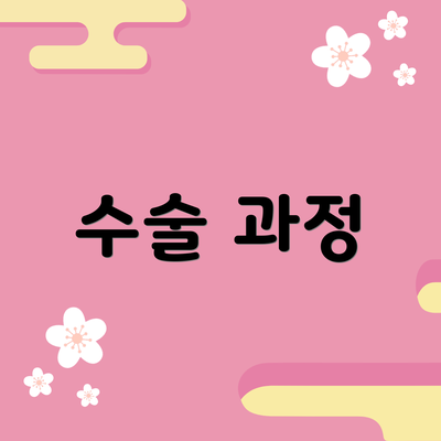 수술 과정