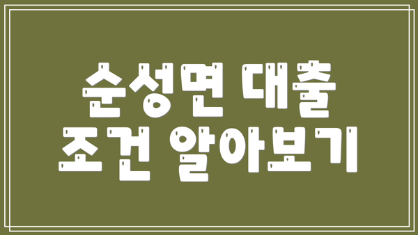 순성면 대출 조건 알아보기