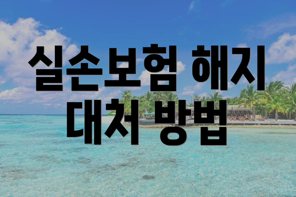 실손보험 해지 대처 방법
