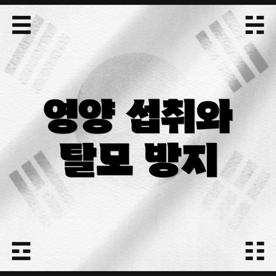 영양 섭취와 탈모 방지