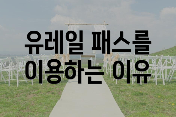 유레일 패스를 이용하는 이유