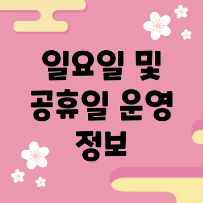 일요일 및 공휴일 운영 정보