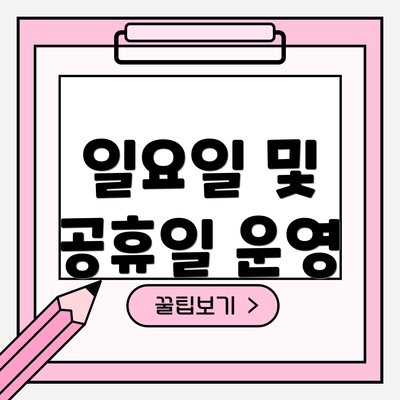 일요일 및 공휴일 운영
