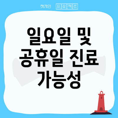 일요일 및 공휴일 진료 가능성