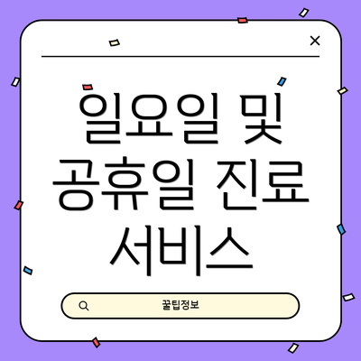 일요일 및 공휴일 진료 서비스