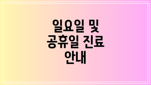 일요일 및 공휴일 진료 안내