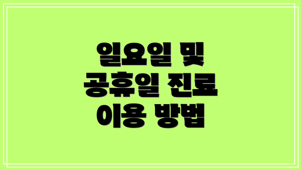 일요일 및 공휴일 진료 이용 방법