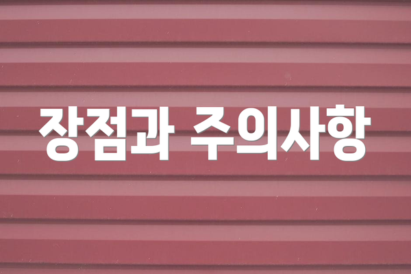 장점과 주의사항