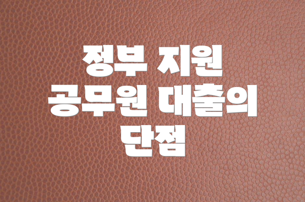 정부 지원 공무원 대출의 단점