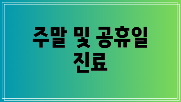 주말 및 공휴일 진료