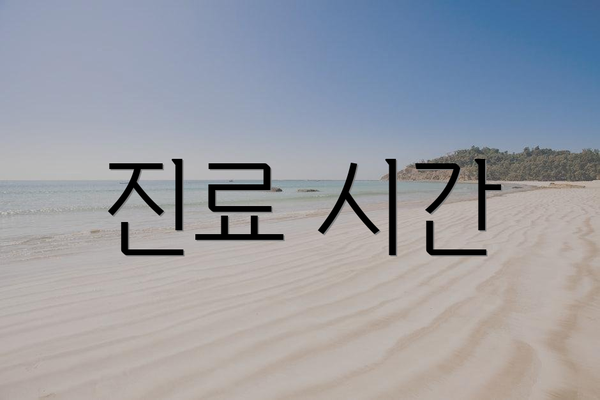 진료 시간