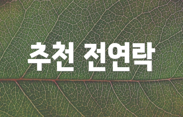 추천 전연락