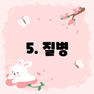 5. 질병