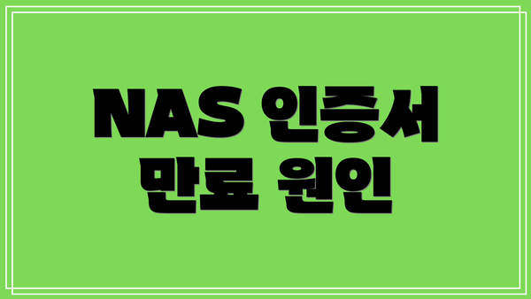 NAS 인증서 만료 원인